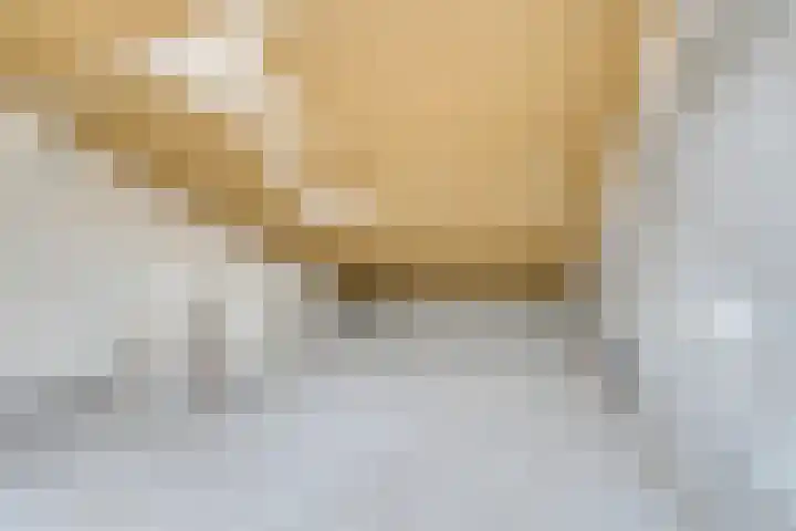 Antwerpenhaven 18 Purmerend thumbnail 31