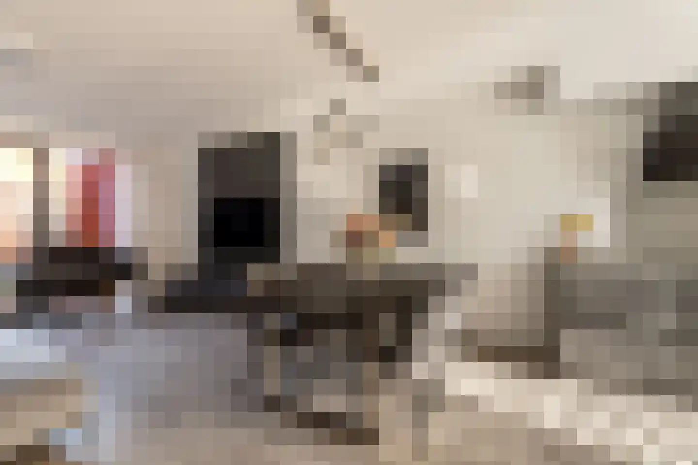 Antwerpenhaven 27 Purmerend thumbnail 11