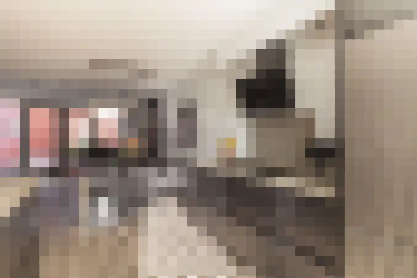 Antwerpenhaven 27 Purmerend thumbnail 17