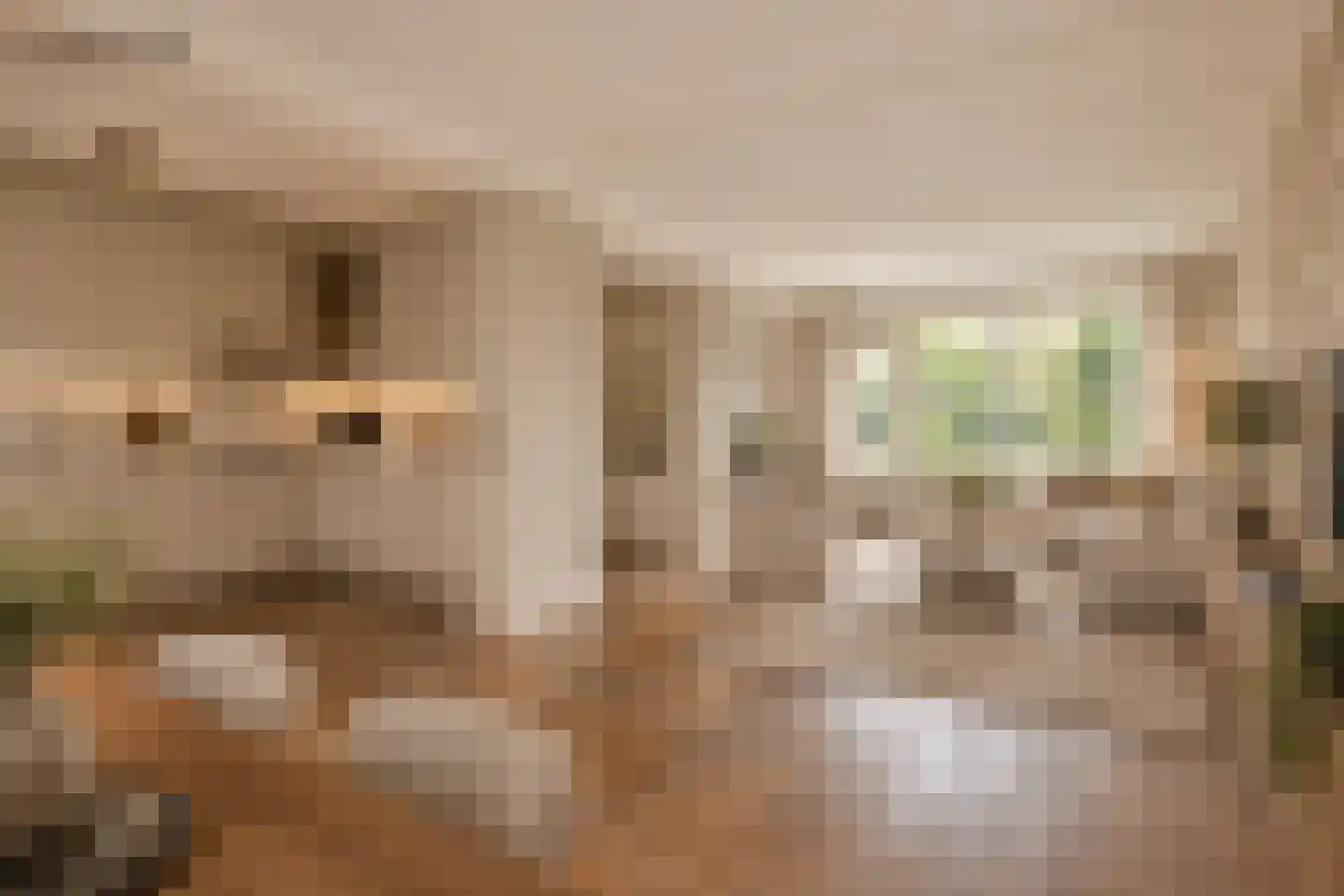 Antwerpenlaan 103 Eindhoven thumbnail 16