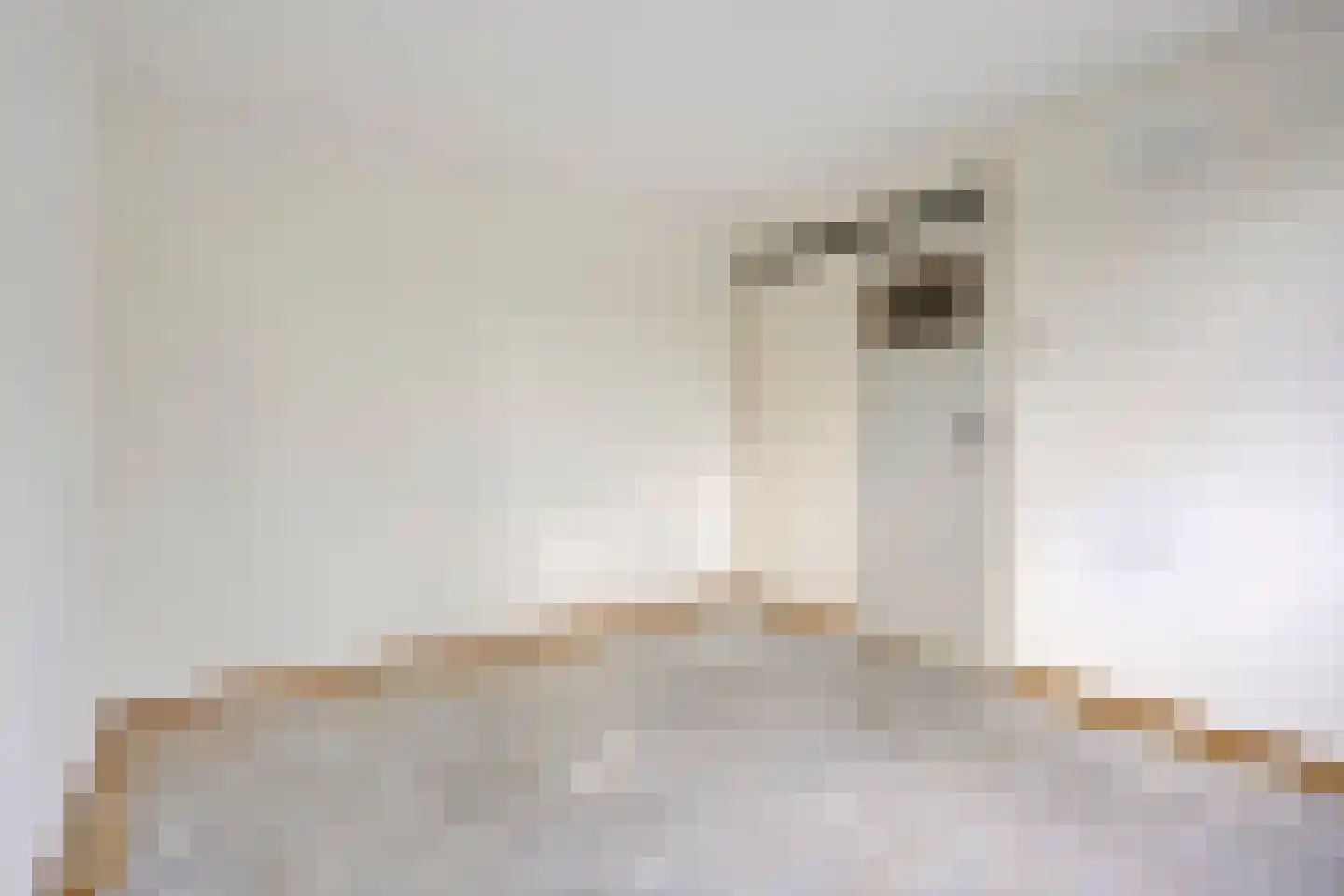Antwerpenlaan 103 Eindhoven thumbnail 26
