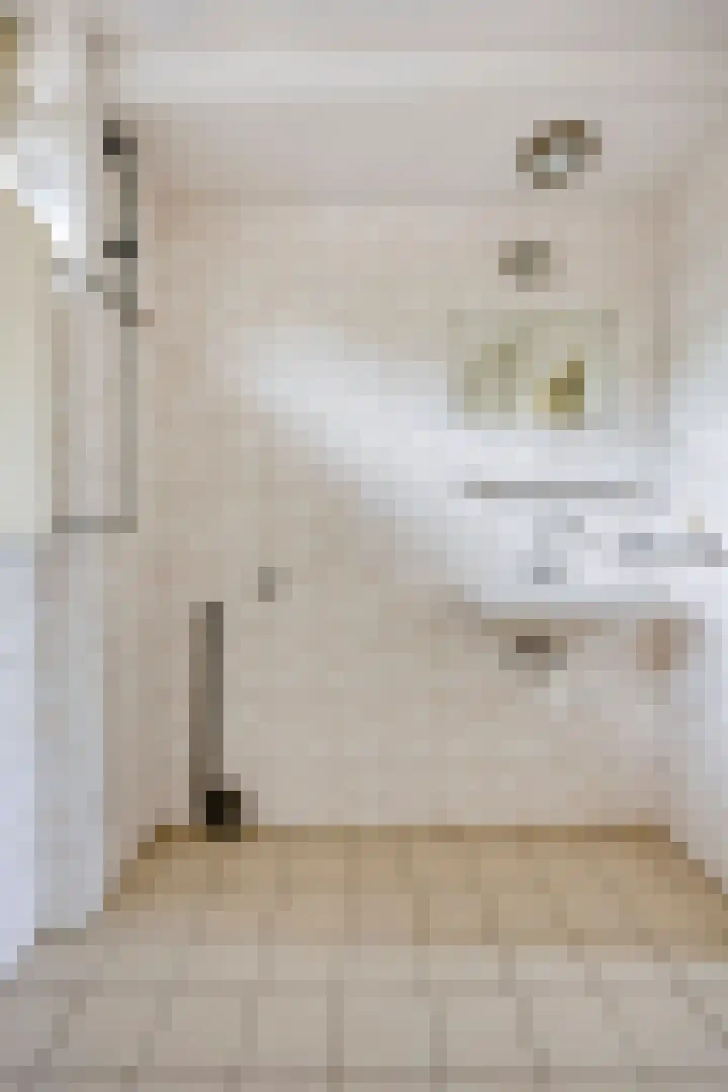 Antwerpenlaan 103 Eindhoven thumbnail 32