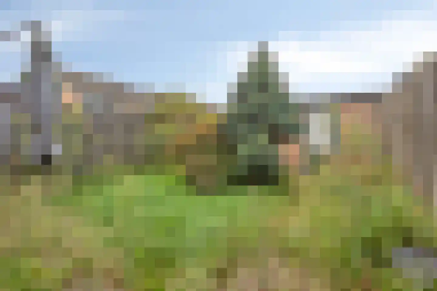Antwerpenlaan 103 Eindhoven thumbnail 34