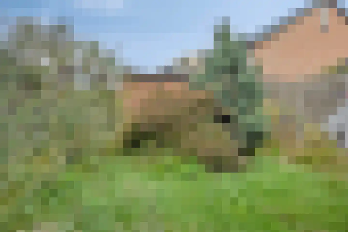 Antwerpenlaan 103 Eindhoven thumbnail 37
