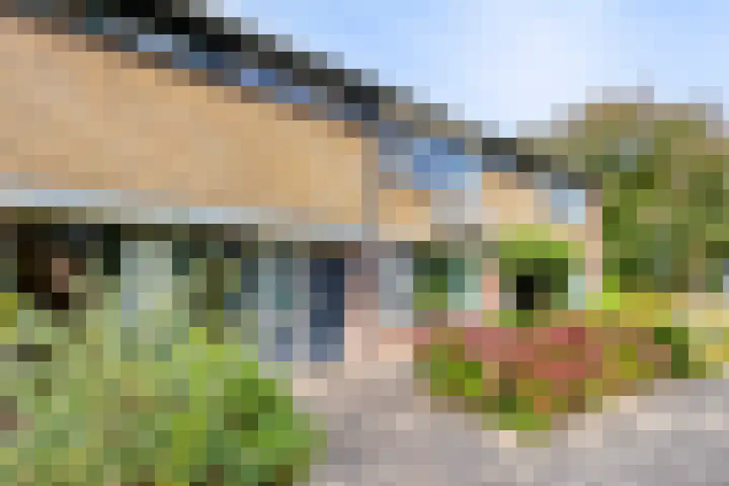 Antwerpenlaan 105 Eindhoven thumbnail 10