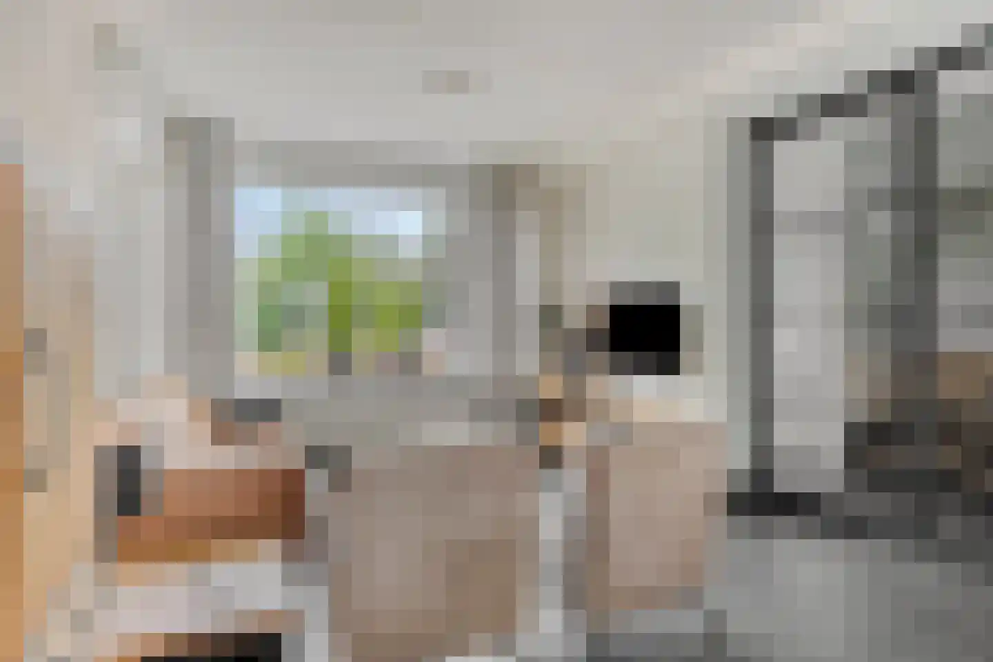 Antwerpenlaan 105 Eindhoven thumbnail 21