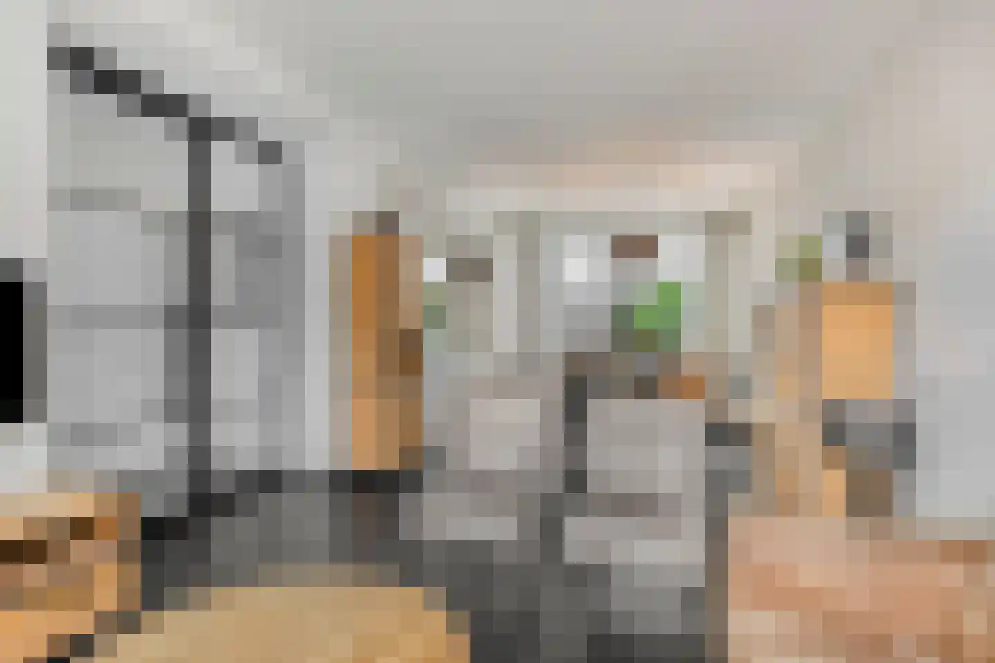 Antwerpenlaan 105 Eindhoven thumbnail 22