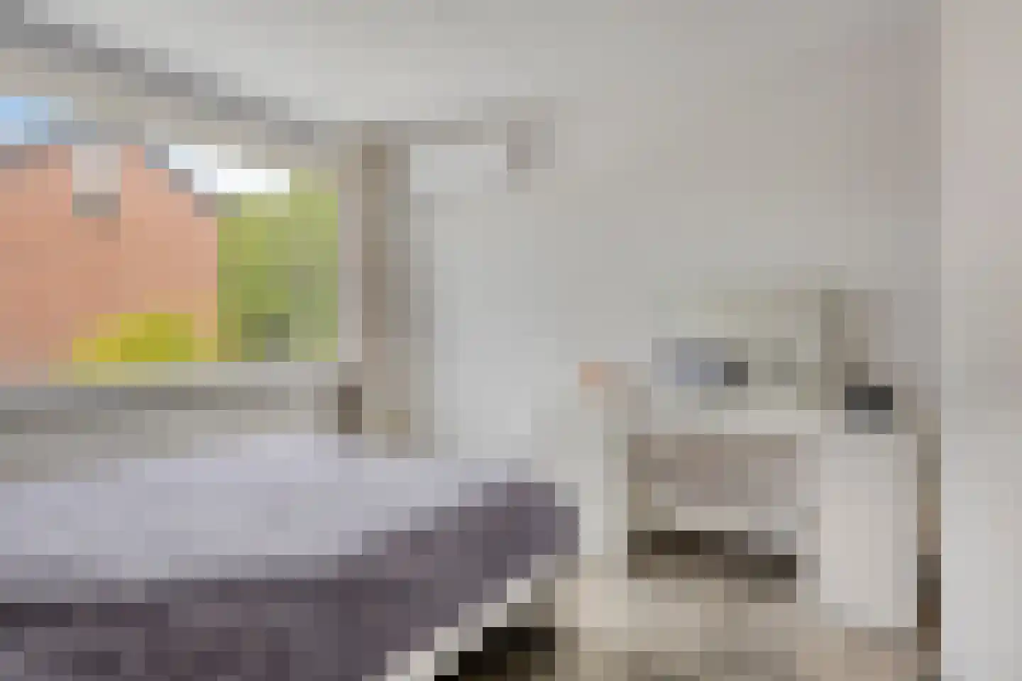 Antwerpenlaan 105 Eindhoven thumbnail 33
