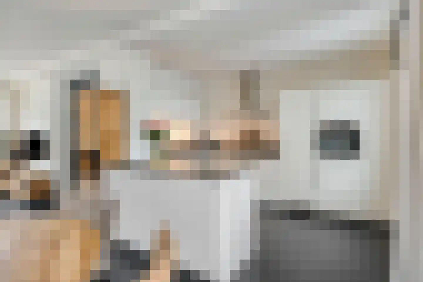 Antwerpenlaan 105 Eindhoven thumbnail 4