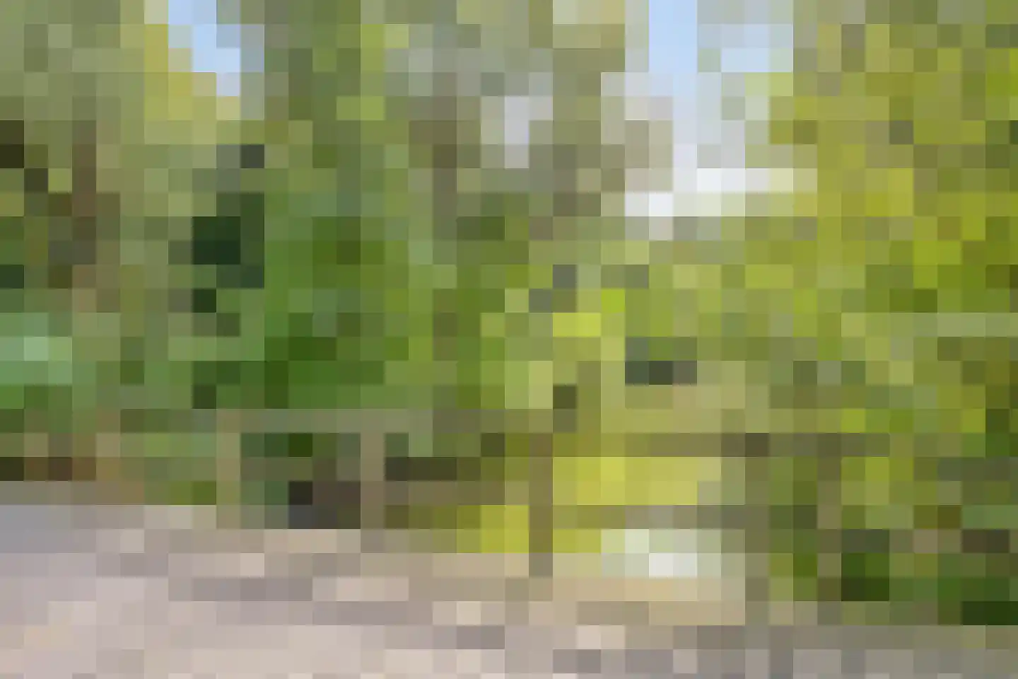 Antwerpenlaan 105 Eindhoven thumbnail 44
