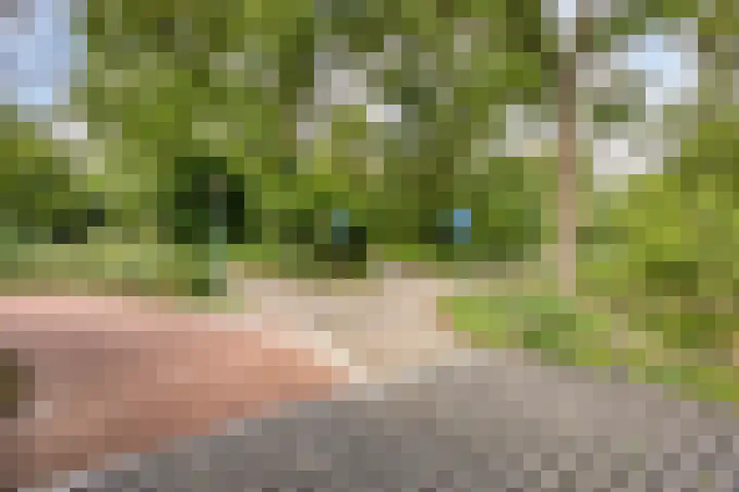 Antwerpenlaan 105 Eindhoven thumbnail 45