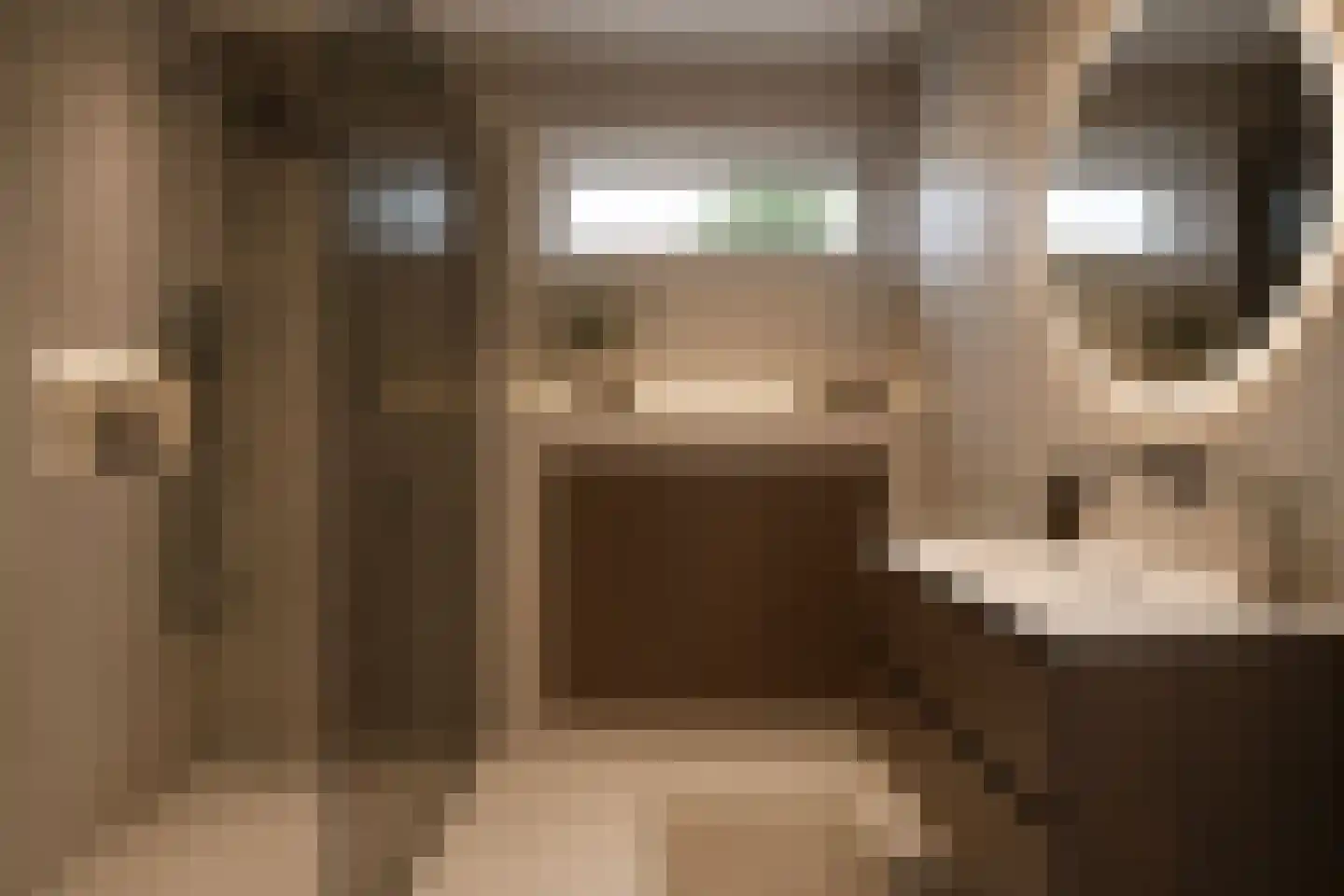 Antwerpenlaan 45 Eindhoven thumbnail 17