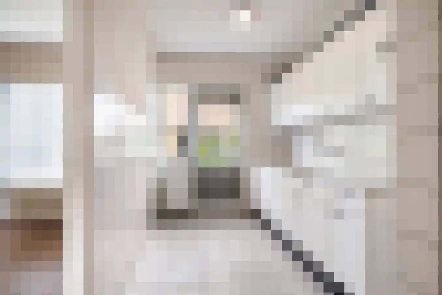 Antwerpenlaan 45 Eindhoven thumbnail 6
