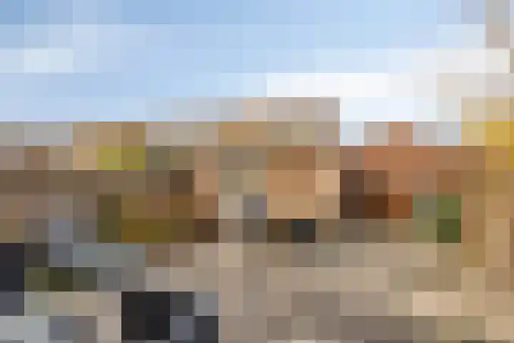 Antwerpenlaan 77 Eindhoven thumbnail 27