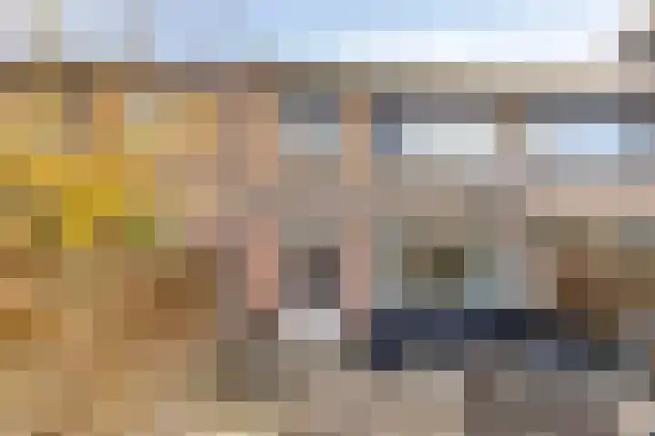 Antwerpenlaan 77 Eindhoven thumbnail 29