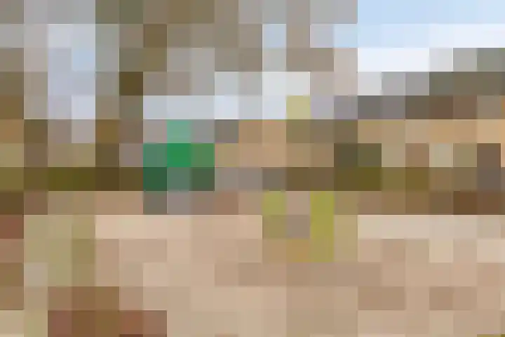 Antwerpenlaan 77 Eindhoven thumbnail 30