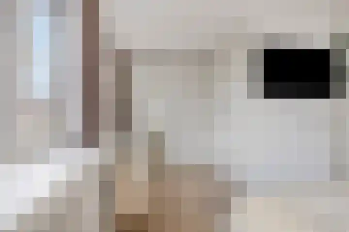 Antwerpenlaan 77 Eindhoven thumbnail 5