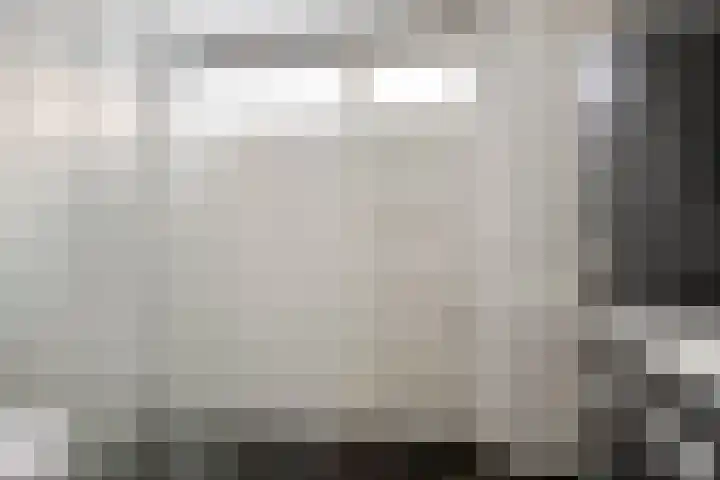 Antwerpenlaan 77 Eindhoven thumbnail 6