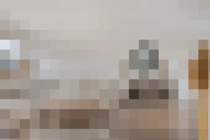 Antwerpenlaan 77 Eindhoven thumbnail 9