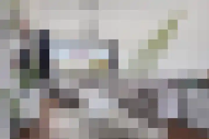 Antwerpenlei 117 Etten-Leur thumbnail 8