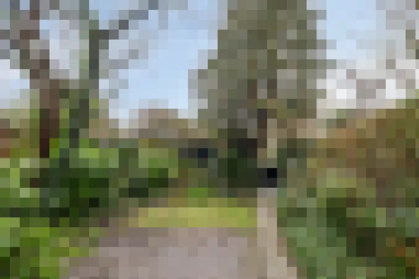Antwerpenlei 121 Etten-Leur thumbnail 29