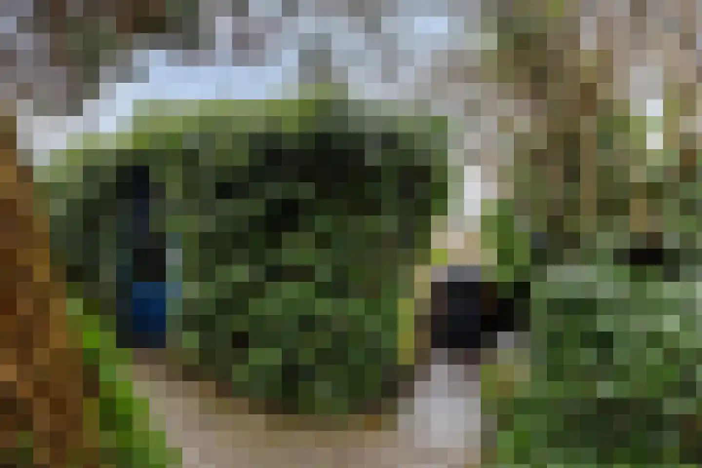 Antwerpenlei 121 Etten-Leur thumbnail 31