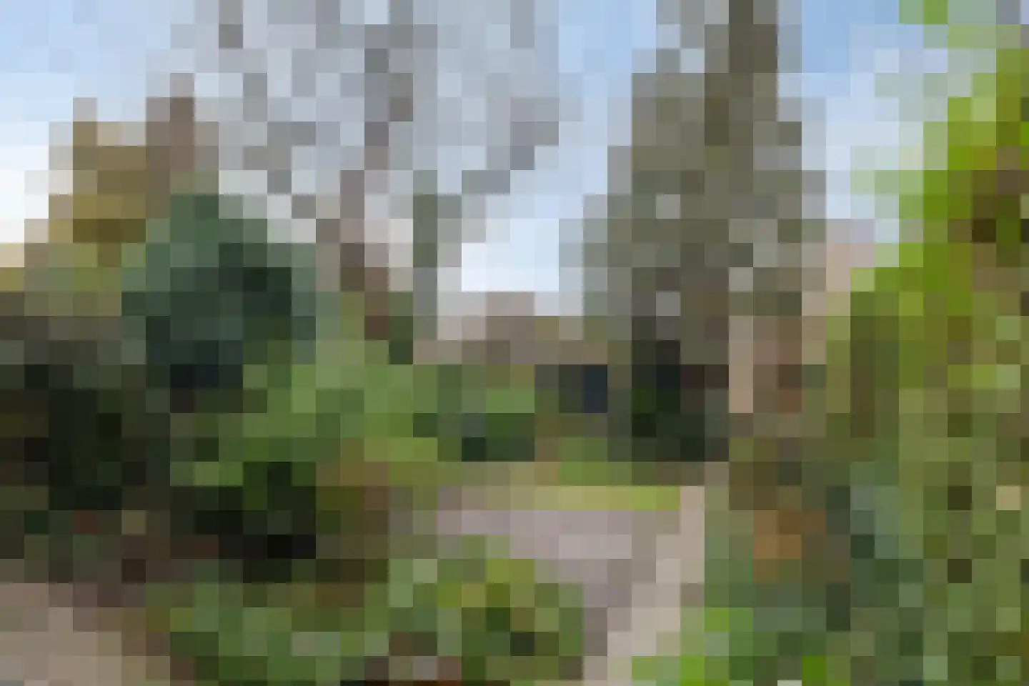 Antwerpenlei 121 Etten-Leur thumbnail 6