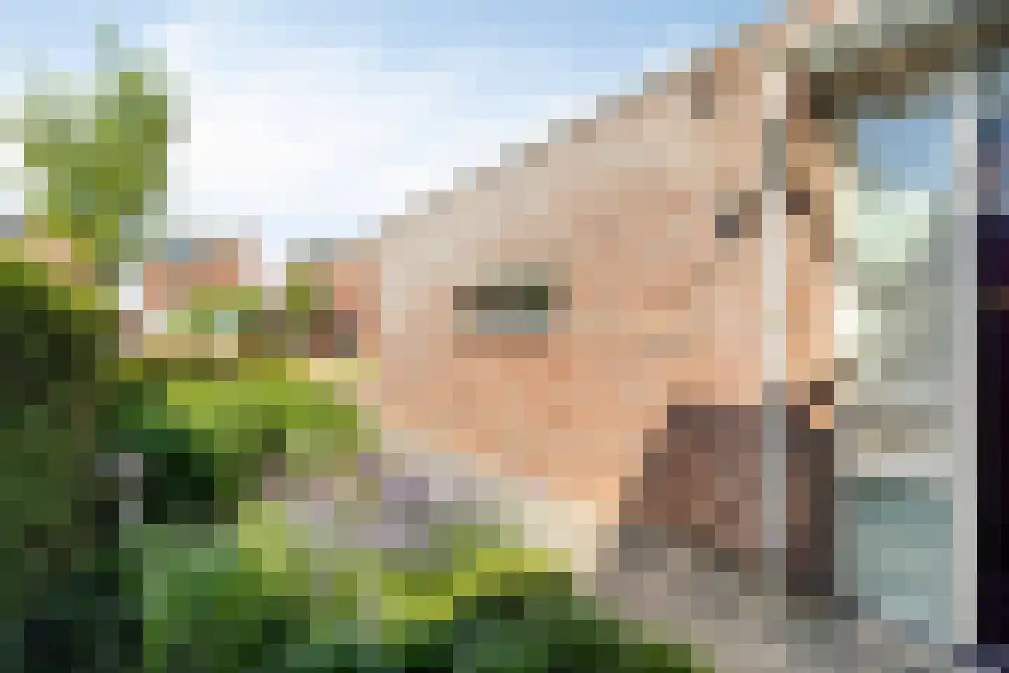 Antwerpenplein 19 Made thumbnail 34