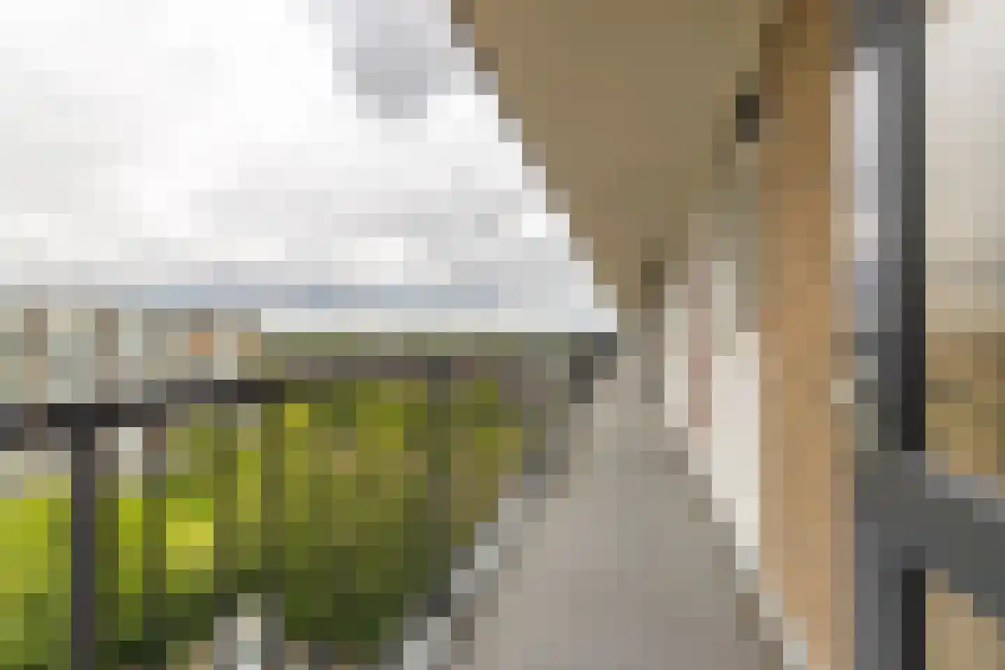 Antwerpenstraat 104 Breda thumbnail 5