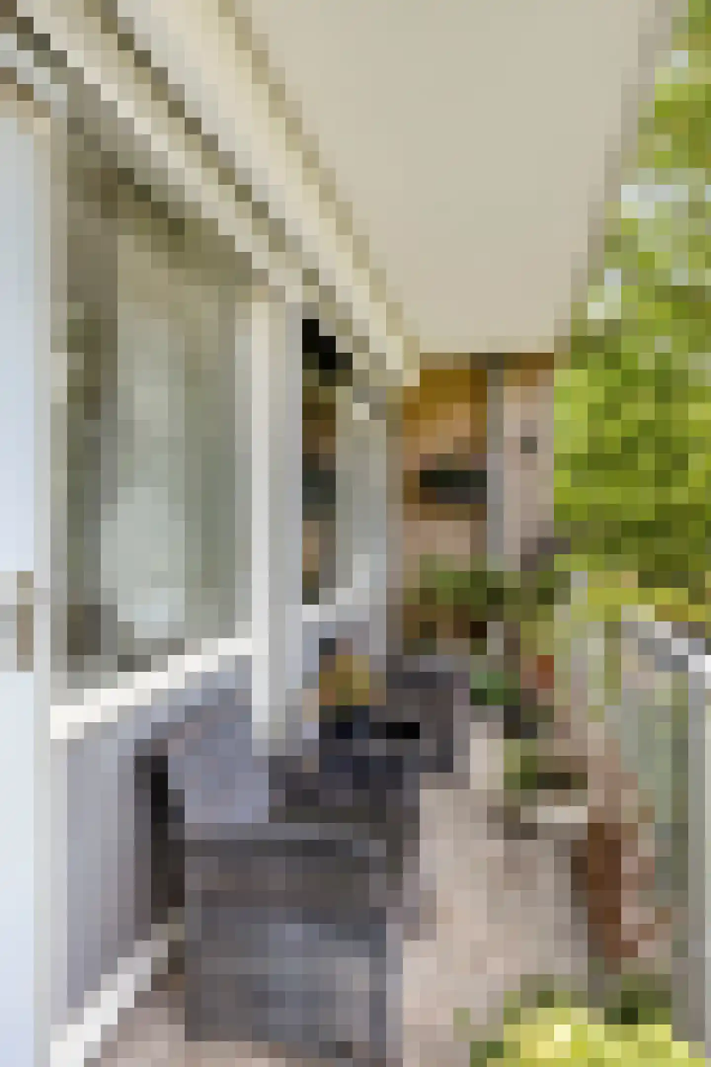 Antwerpenstraat 158 Breda thumbnail 19