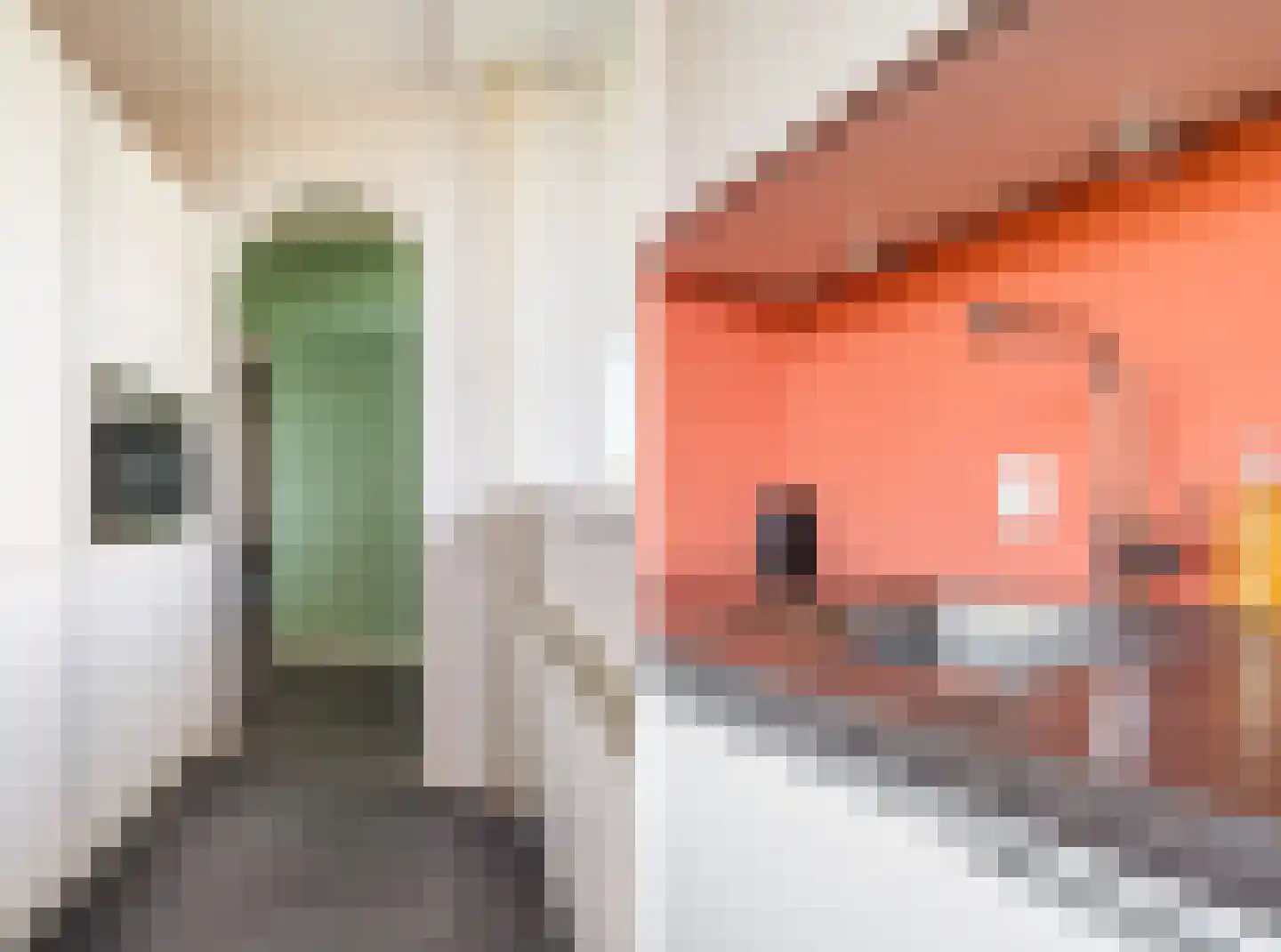 Antwerpenstraat 192 Breda thumbnail 21
