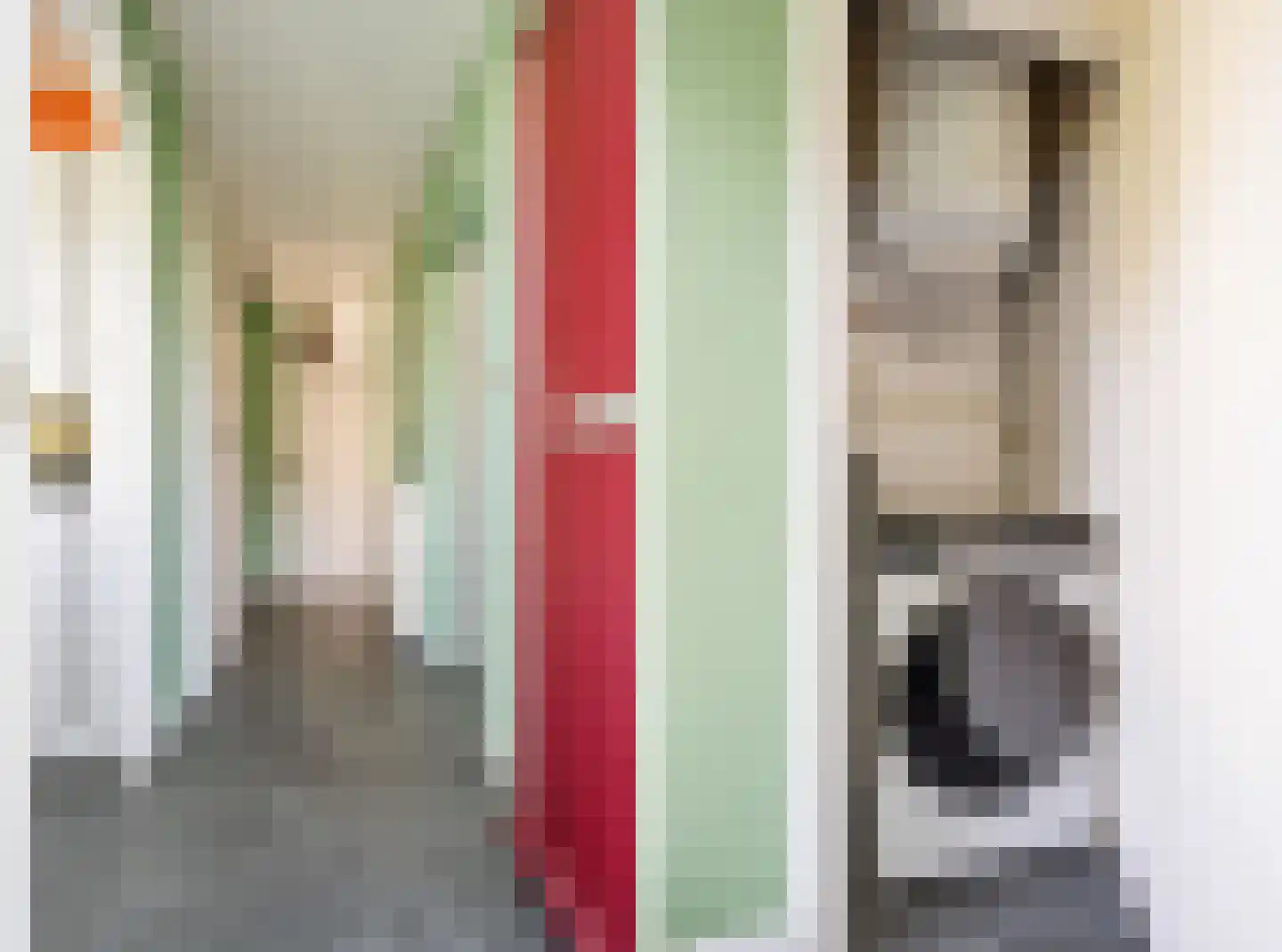Antwerpenstraat 192 Breda thumbnail 30