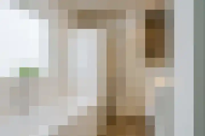 Antwerpenstraat 2 's-Hertogenbosch thumbnail 30