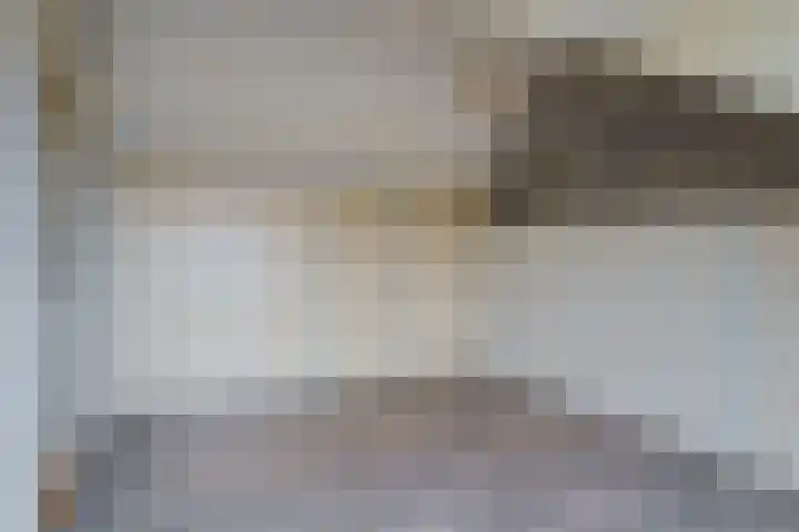 Antwerpenstraat 2 's-Hertogenbosch thumbnail 33