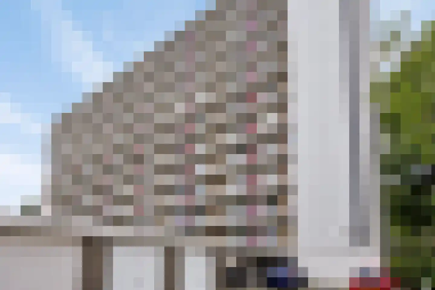 Antwerpenstraat 212 Breda thumbnail 19