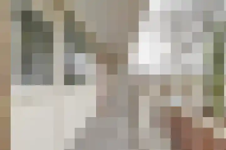 Antwerpenstraat 302 Breda thumbnail 34