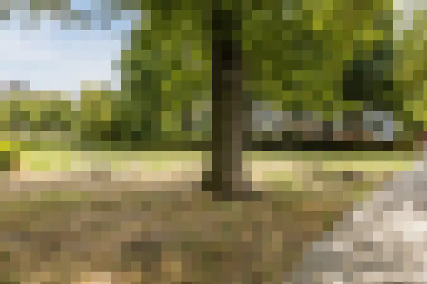 Antwerpenstraat 304 Breda thumbnail 32