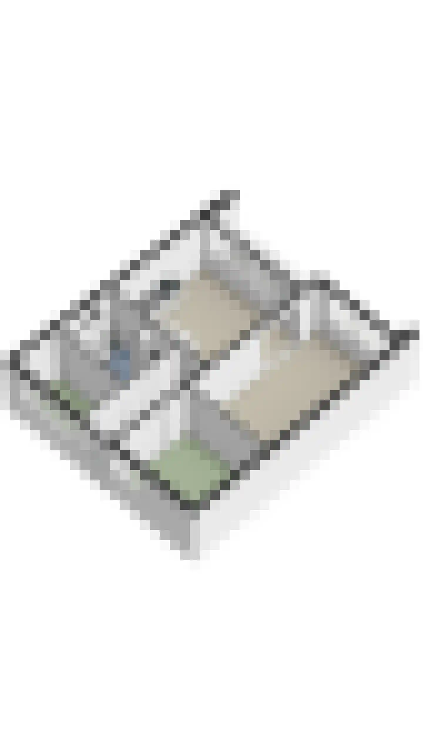 Antwerpenstraat 304 Breda thumbnail 35