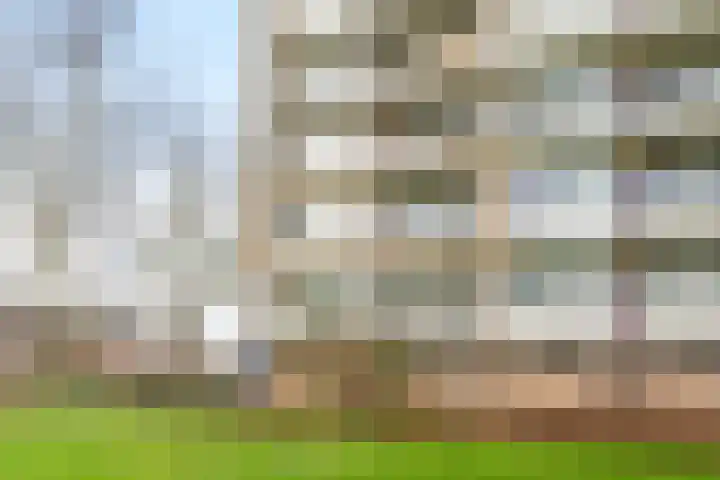 Antwerpenstraat 306 Breda thumbnail 5