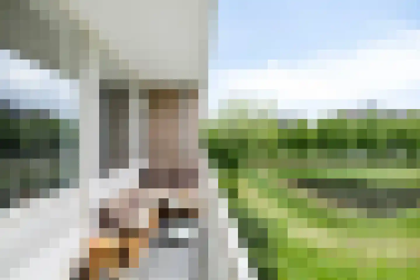 Antwerpenstraat 308 Breda thumbnail 30