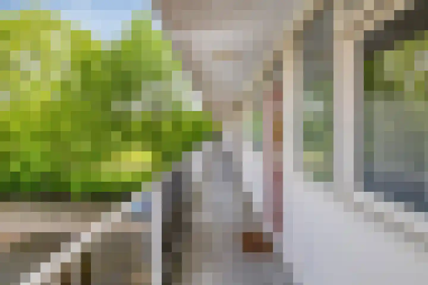 Antwerpenstraat 308 Breda thumbnail 9