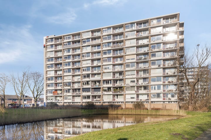 Antwerpenstraat 322 in Breda Foto