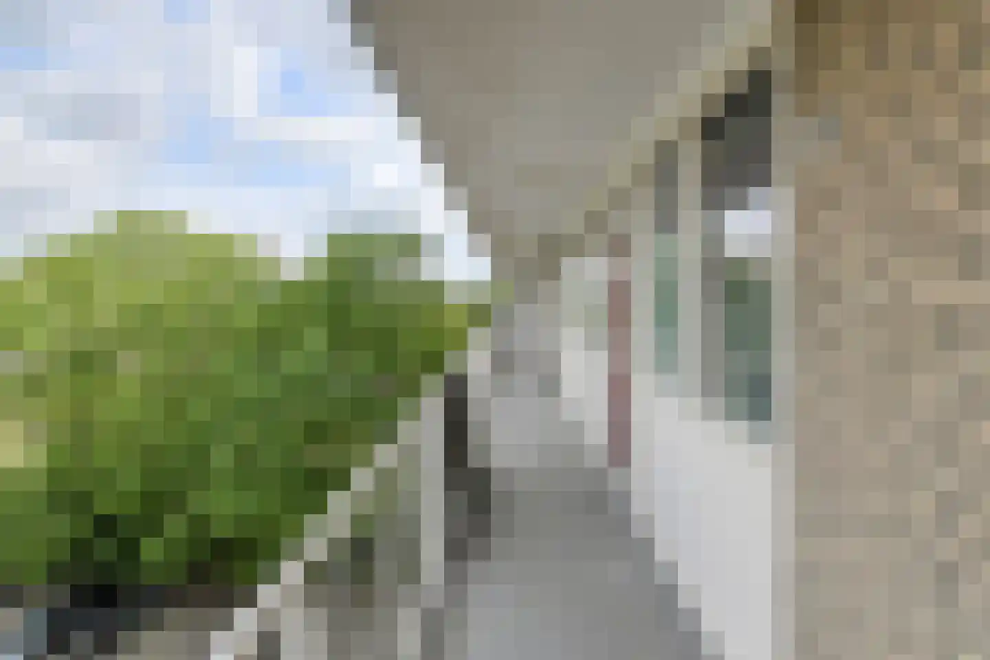 Antwerpenstraat 344 Breda thumbnail 14