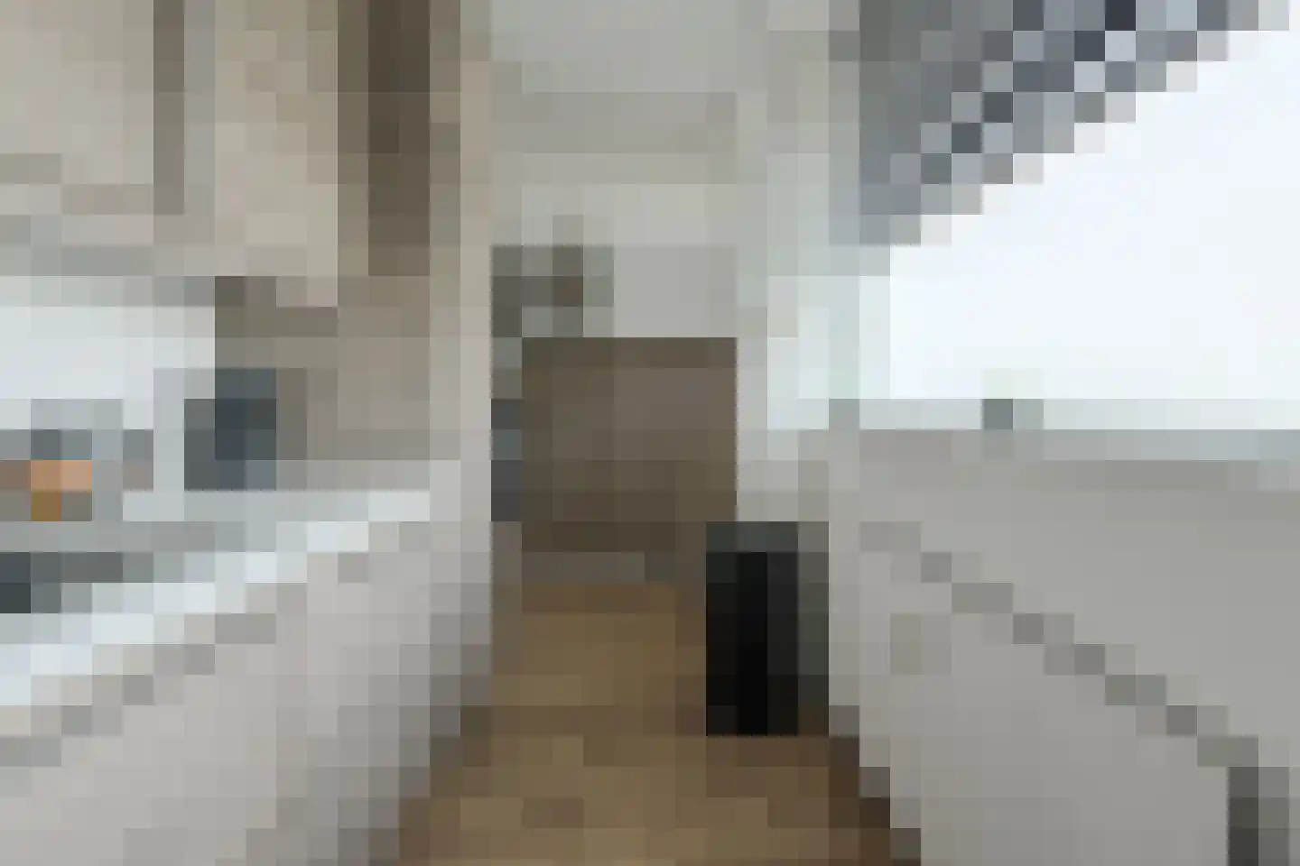 Antwerpenstraat 344 Breda thumbnail 27