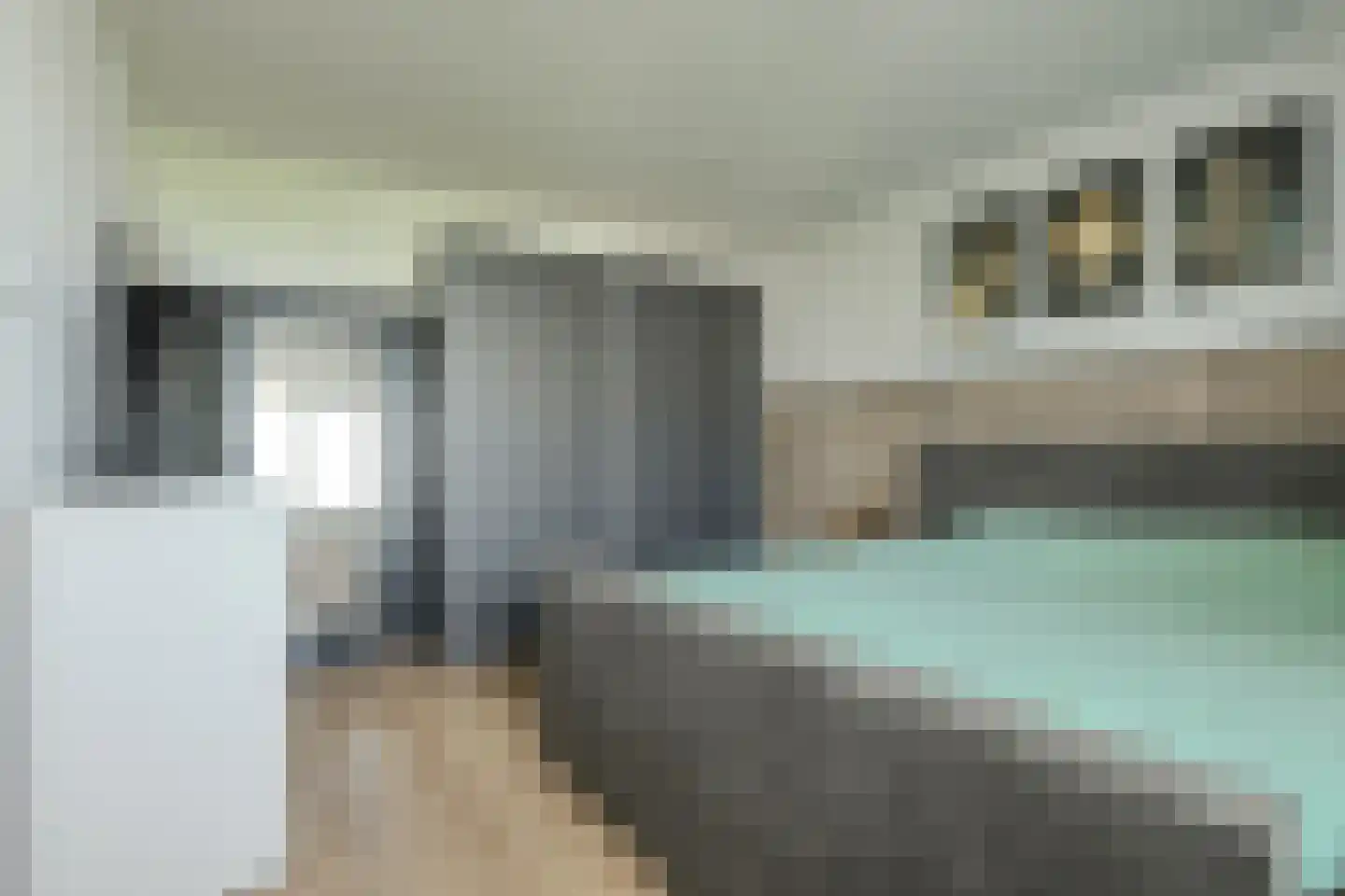 Antwerpenstraat 344 Breda thumbnail 5