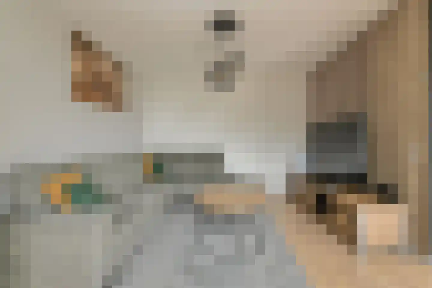 Antwerpenstraat 344 Breda thumbnail 8