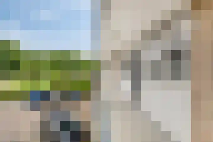 Antwerpenstraat 440 Breda thumbnail 5