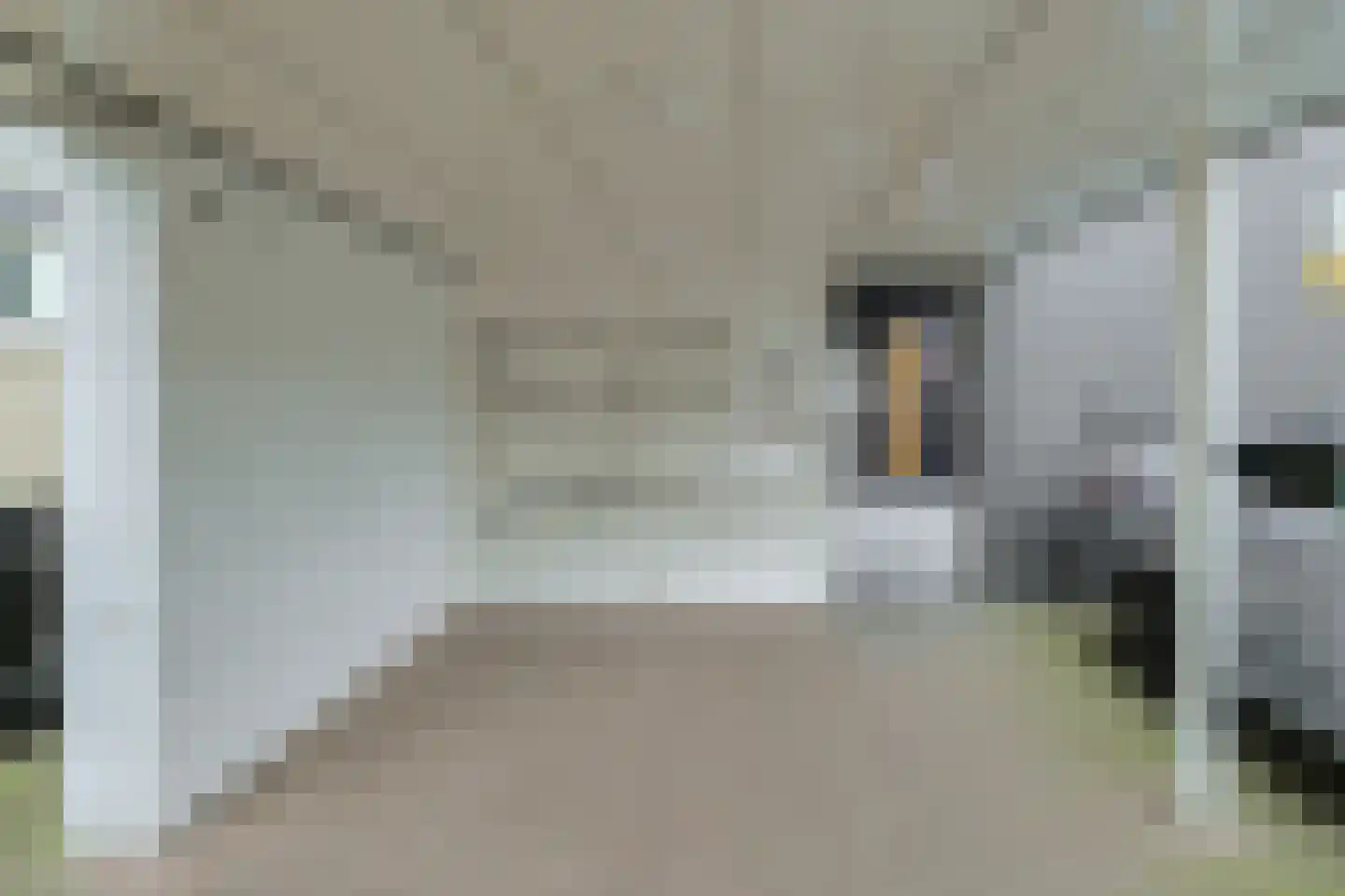 Antwerpenstraat 464 Breda thumbnail 8