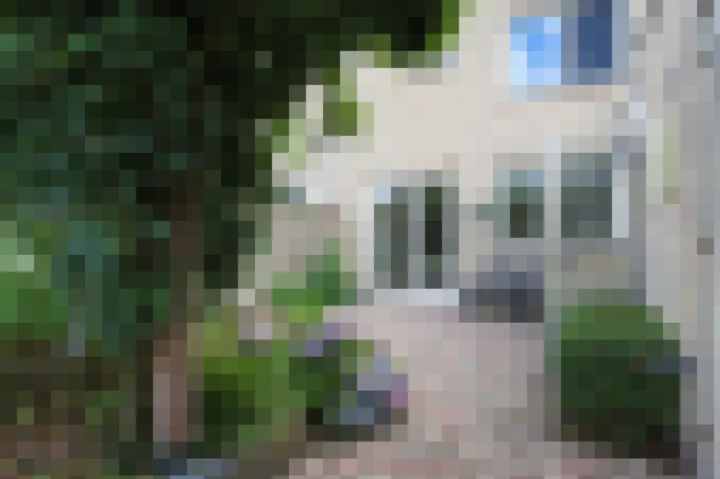 Antwerpenstraat 48 Hengelo thumbnail 17