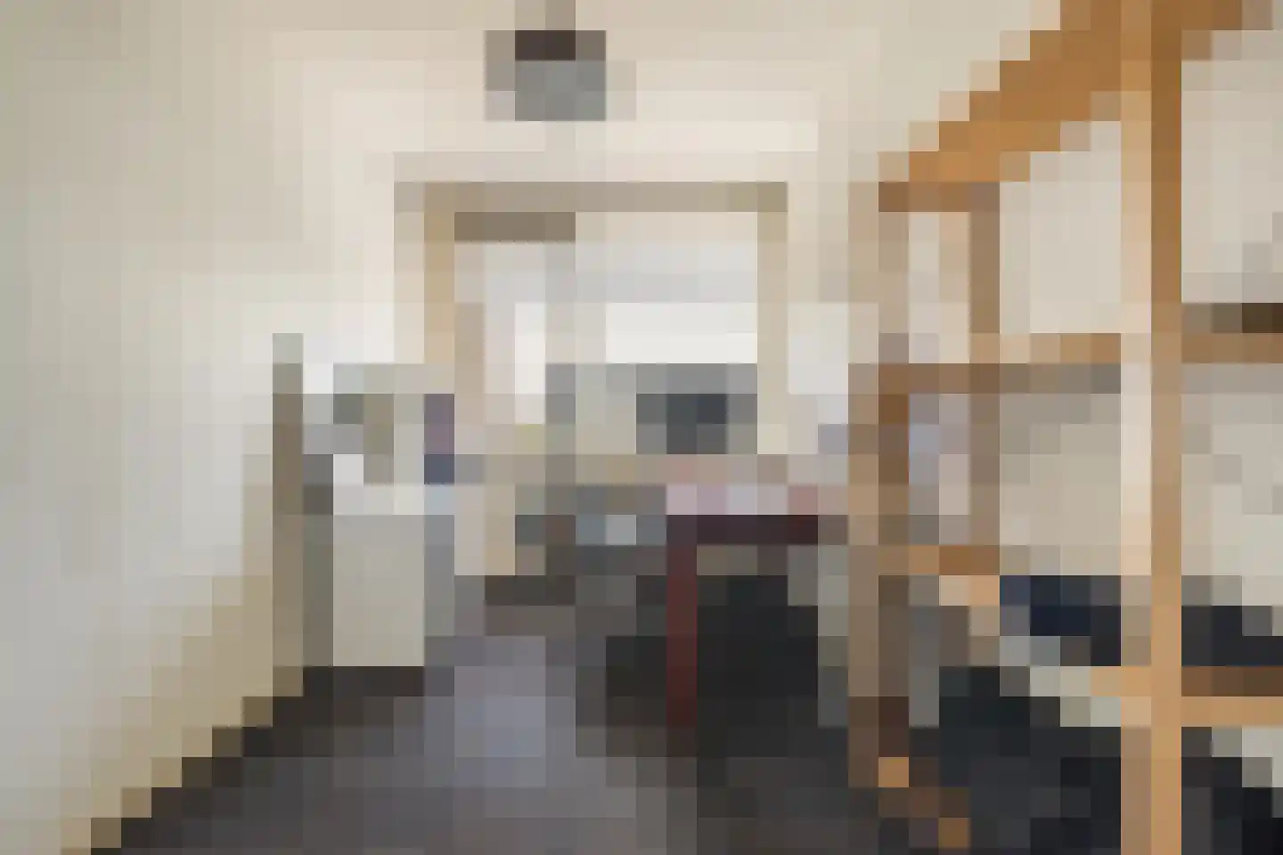 Antwerpenstraat 524 Breda thumbnail 38